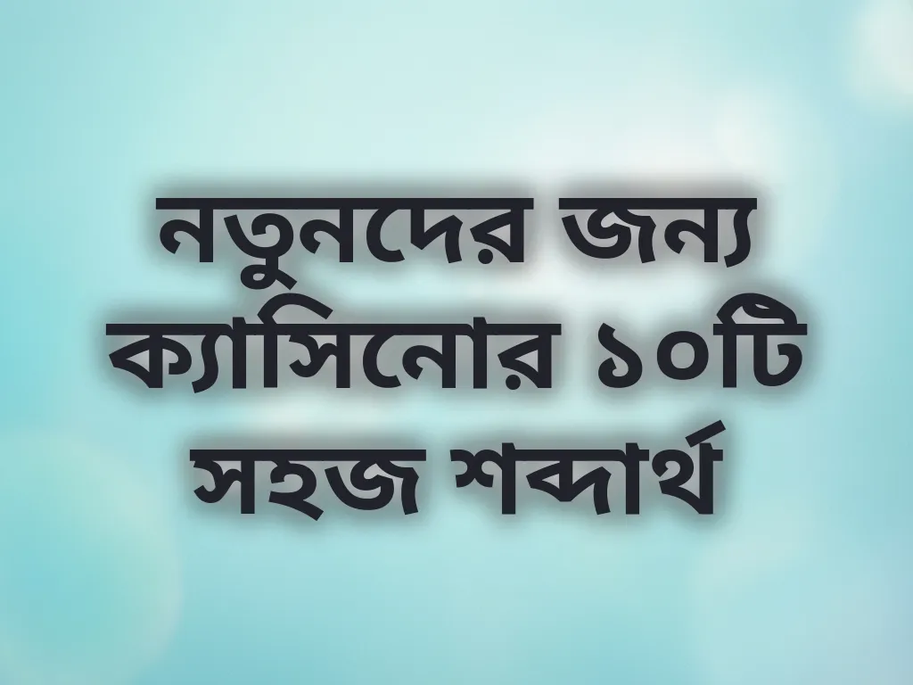 গেমিং টার্মস
